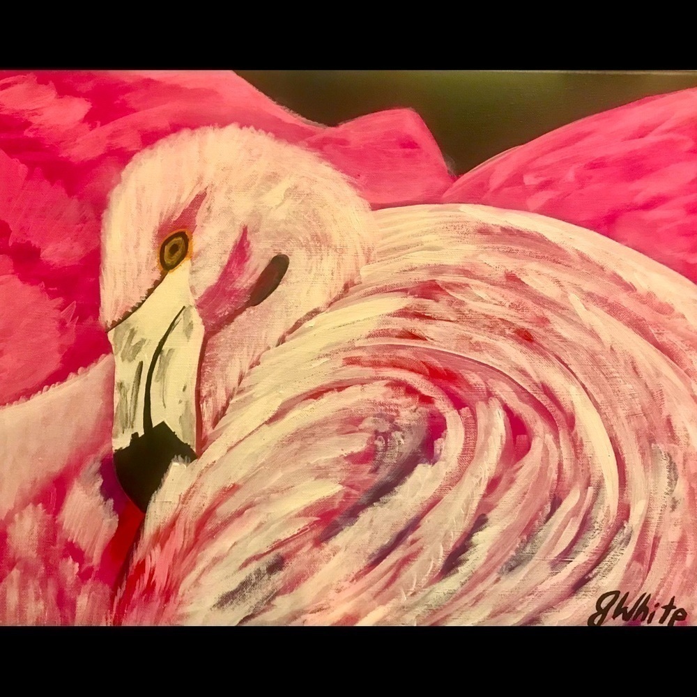 DACORRYS Flamingo